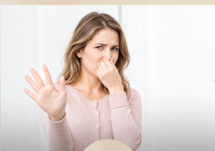 Anatomy illustration related to Morning Sickness in Early Pregnancy: How Can It Be Eased?