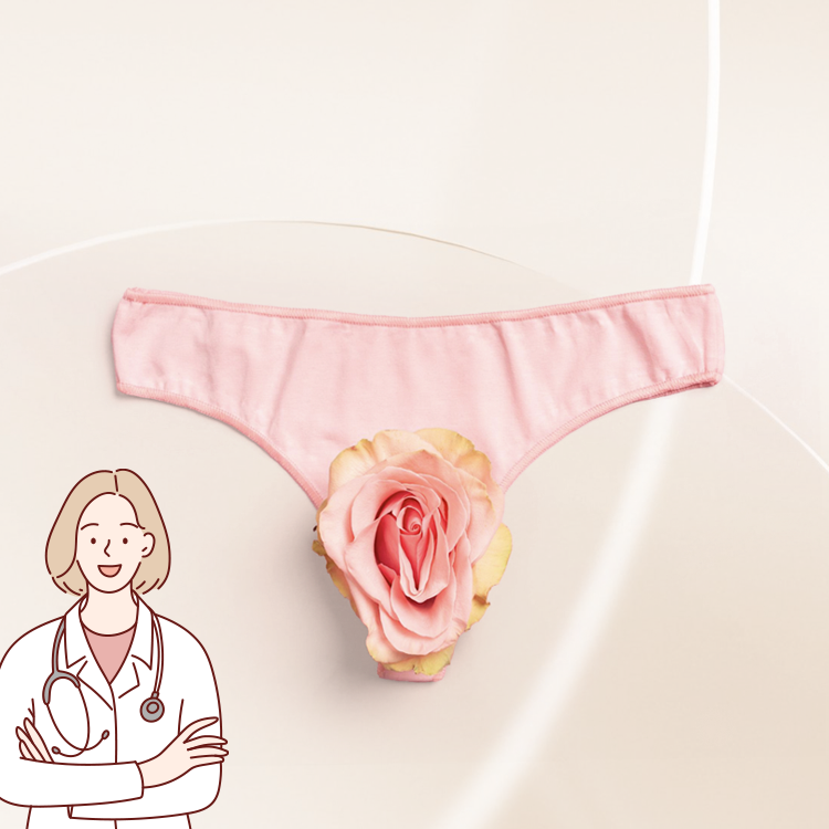 Anatomy illustration related to Why Should Brazilian Laser Hair Removal Be Done at a Gynaecology Clinic?