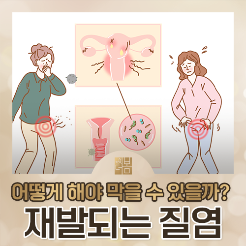 질염이 자꾸 재발하는 이유, 어디서부터 다시 봐야 할까요?