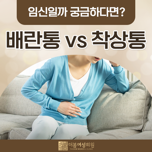 배란통과 착상통 차이, 시기와 느낌으로 어떻게 구분하나요?
