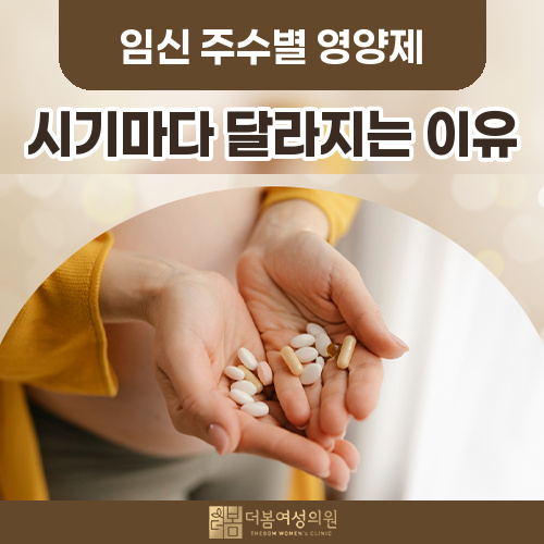 임신 주수별 영양제, 언제 무엇을 먹어야 할까요?