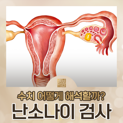 난소 나이 검사 수치, 낮으면 임신이 어려운 걸까요?